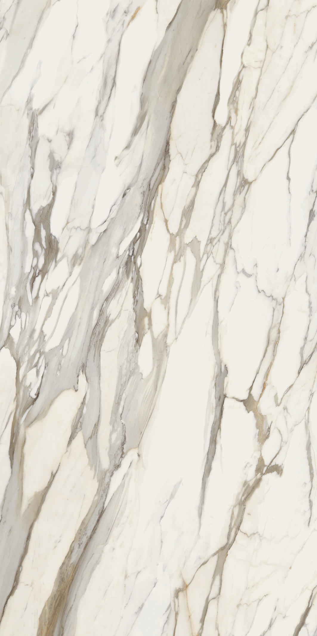 Calacatta Gold