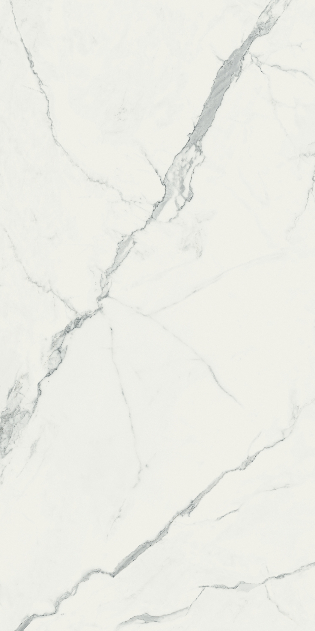 Calacatta White