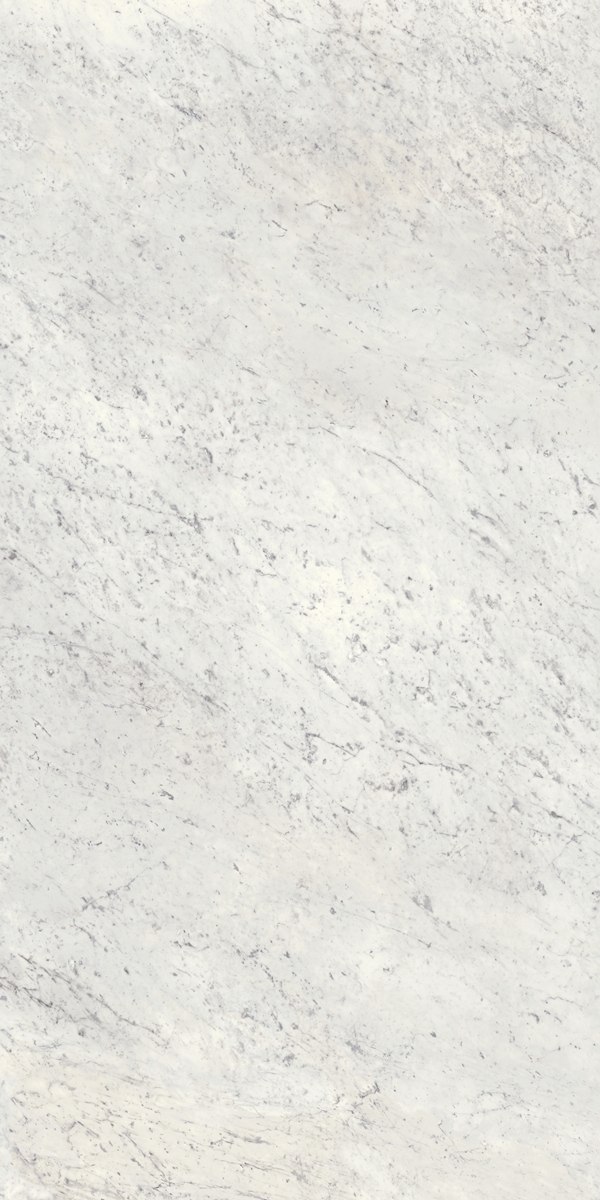 Carrara C