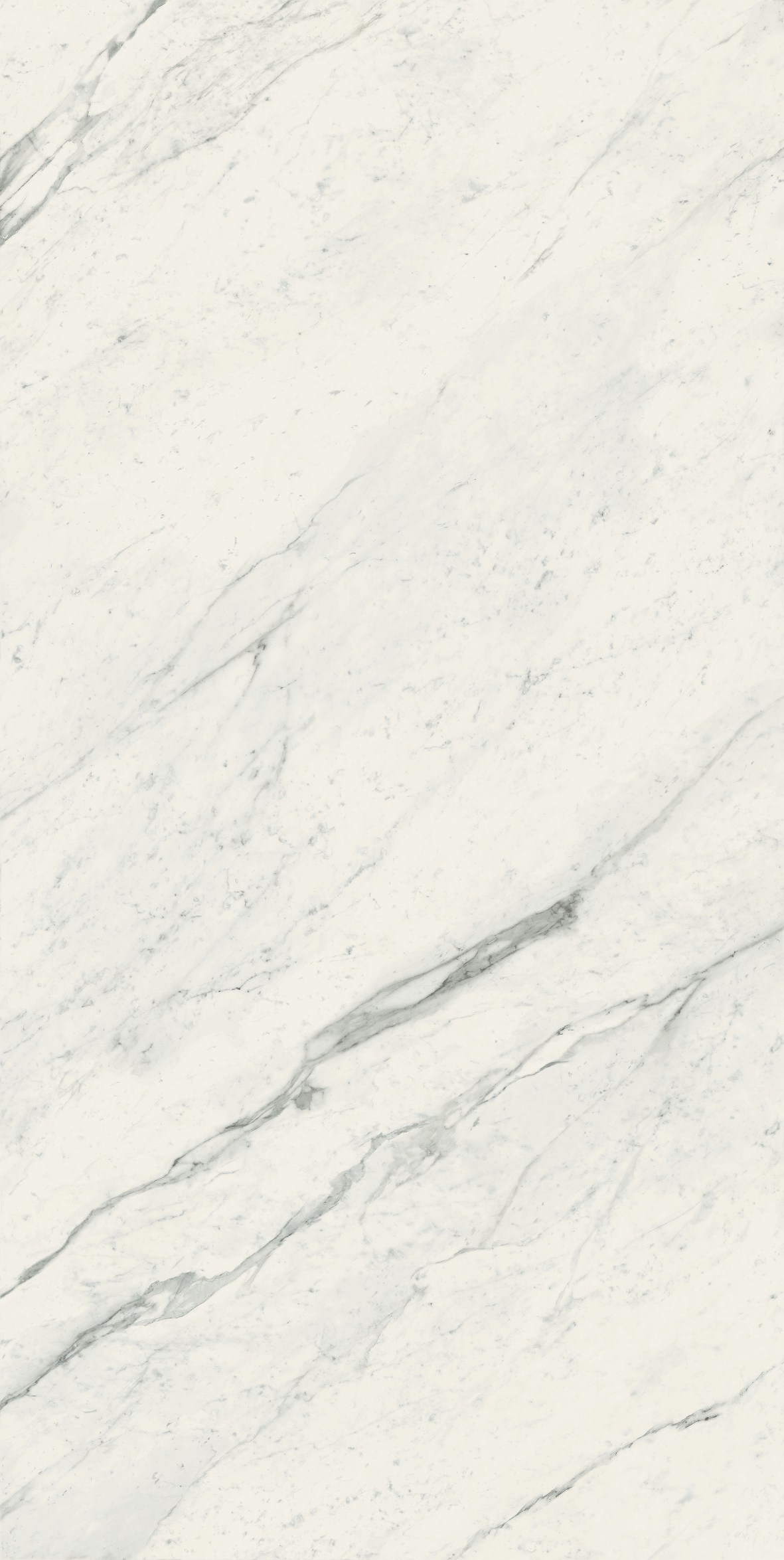 Elegant White