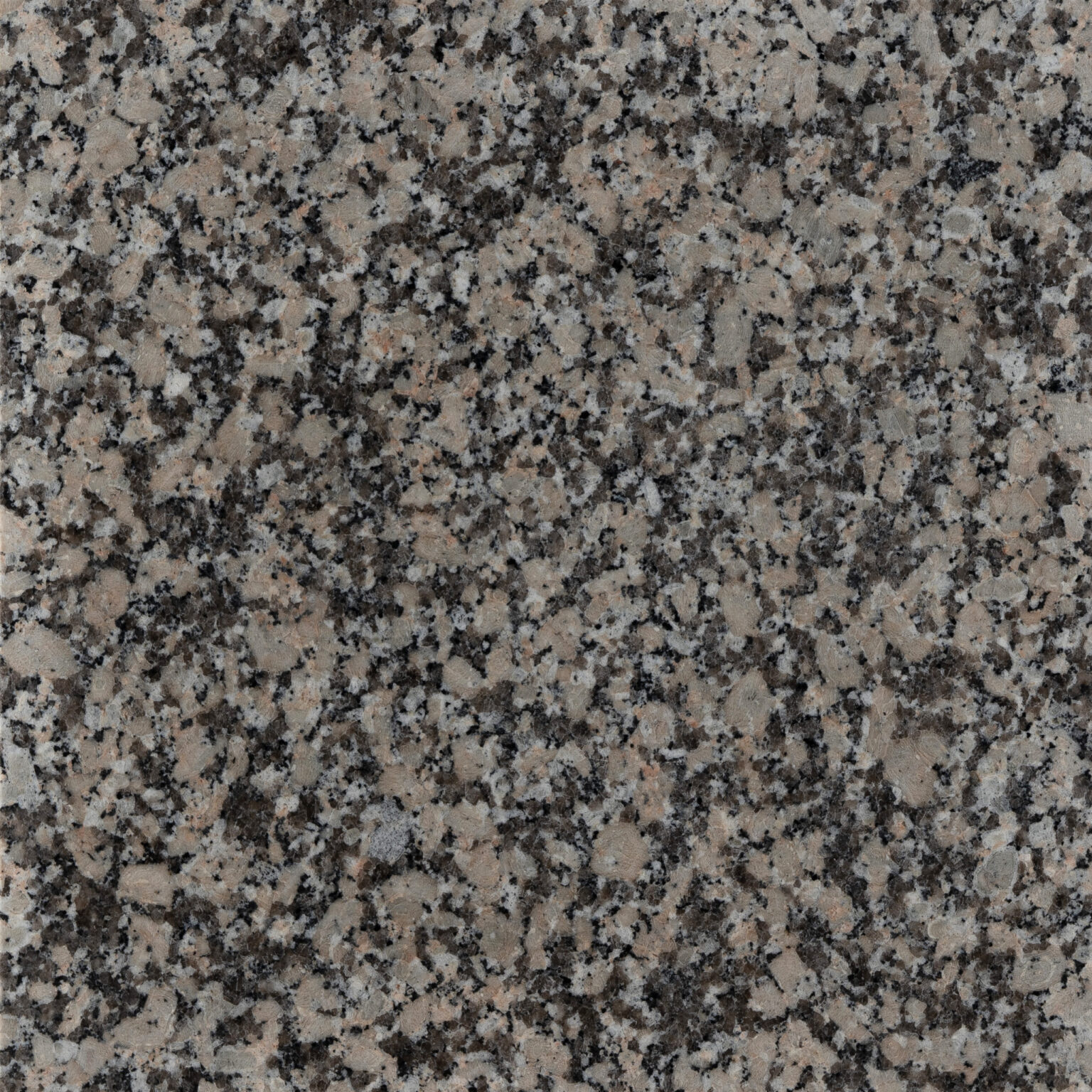 marble sachanas granite crema julia